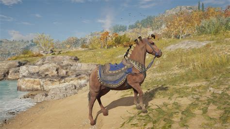 ac odyssey horse died
